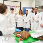 Giornata Made in Italy 2026 - Rassegna stampa