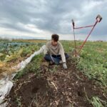 Esami di Stato 2026 per l'abilitazione alla professione di Perito Agrario: termini e modalità